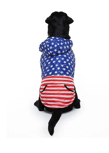Yavru köpek montu