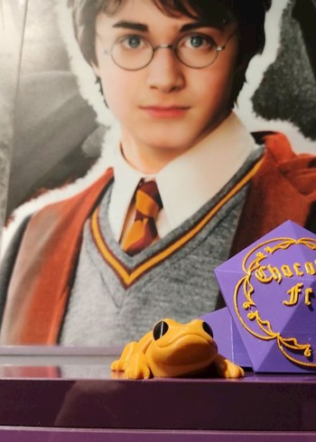 Beden HARRY POTTER CHOCOLATE FROG KUTU