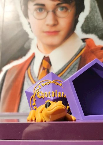 Beden Renk HARRY POTTER CHOCOLATE FROG KUTU