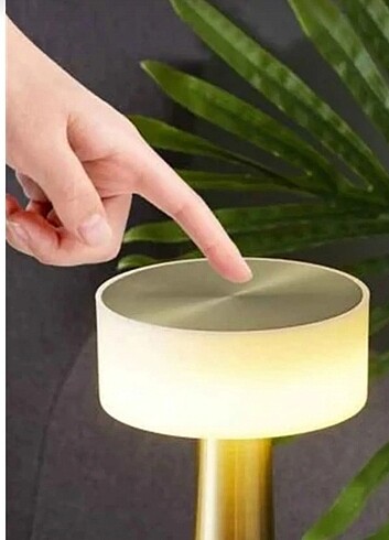  Beden Dekoratif LED ışıklı masa aydınlatma