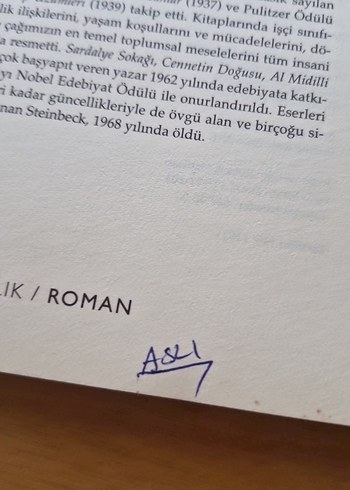 Beden Fareler ve İnsanlar - John Steinbeck