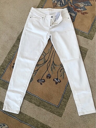 Levis kot
