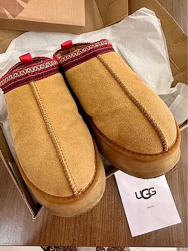 Ugg tazz terlik