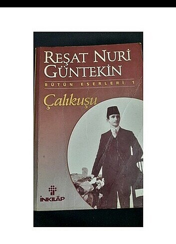 çalıkuşu roman