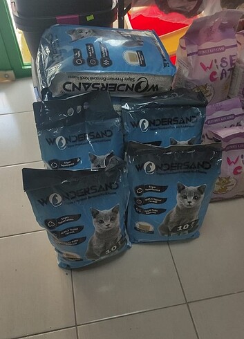 Kedi kumu