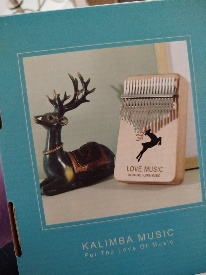 Kalimba Sanat Kitabı - Görsel 2