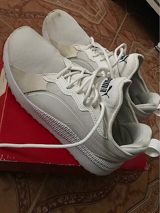 Puma pacer