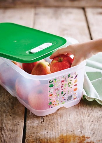 Beden Tupperware