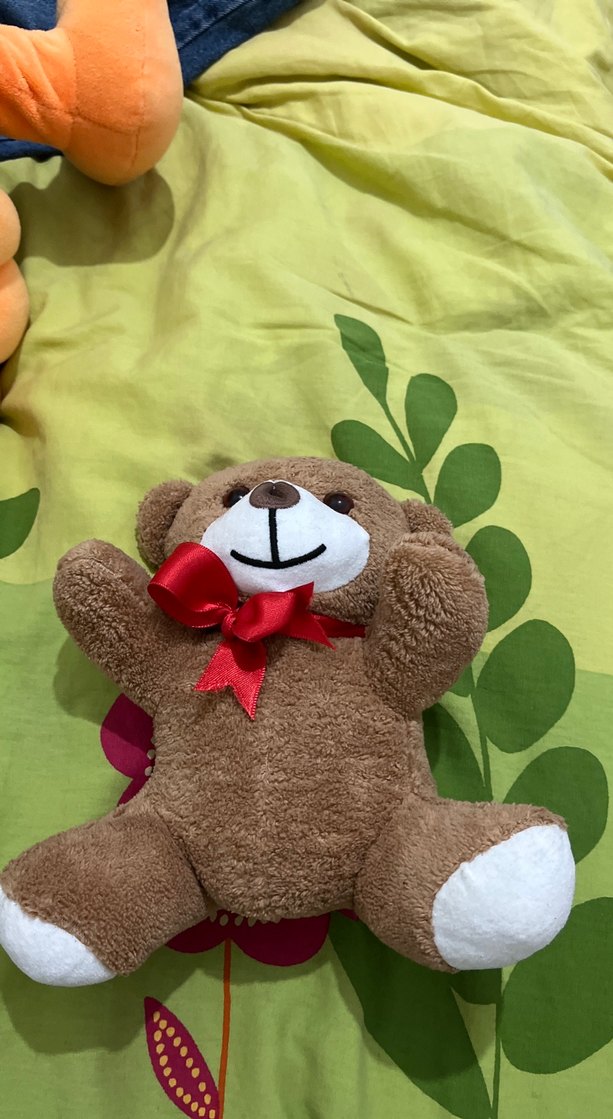 Kahverengi Peluş Oyuncak Ayı - Görsel 2