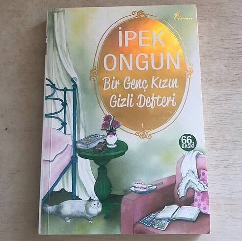 Bir Genç Kızın Gizli Defteri