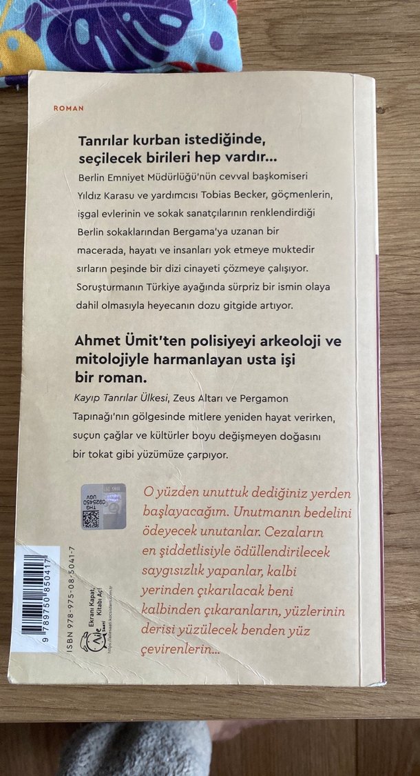 Kayıp Tanrılar Ülkesi kitabı - Görsel 2