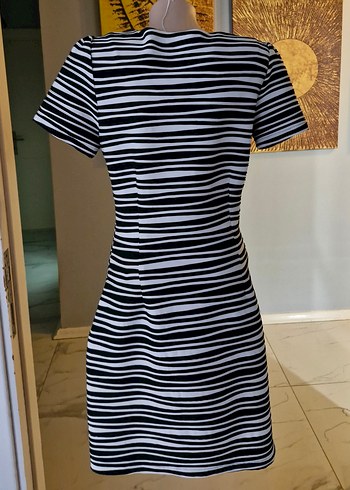 Zebra Desenli Kadın Elbise - Görsel 4