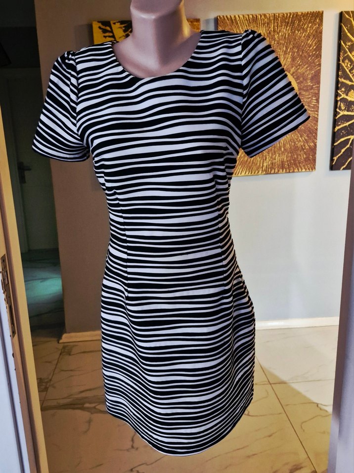 Zebra Desenli Kadın Elbise - Görsel 2