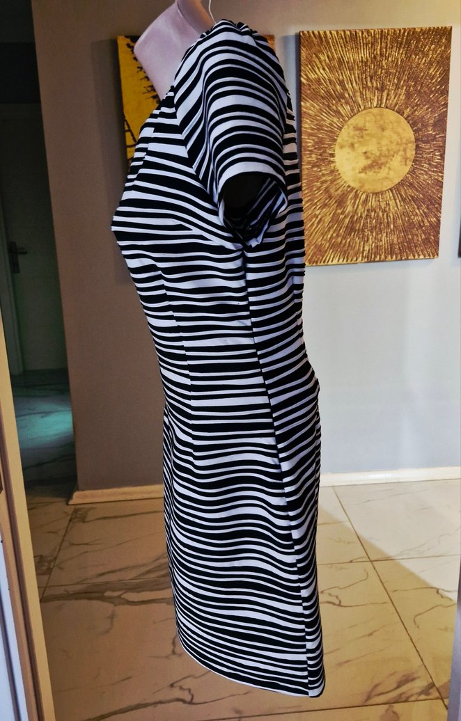 Zebra Desenli Kadın Elbise - Görsel 5