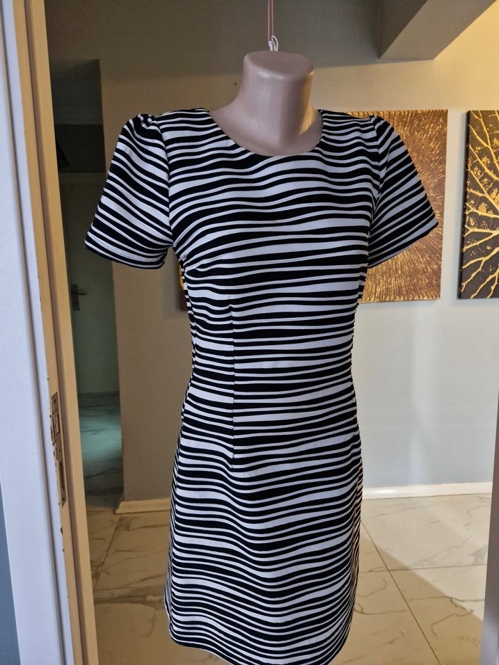 Zebra Desenli Kadın Elbise - Görsel 3