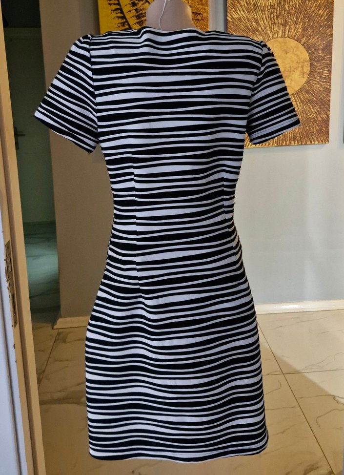 Zebra Desenli Kadın Elbise - Görsel 4