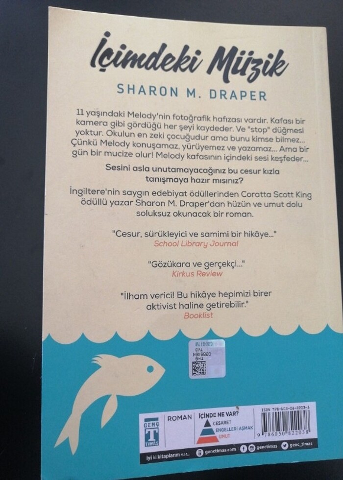 İçimdeki Müzik - Görsel 2