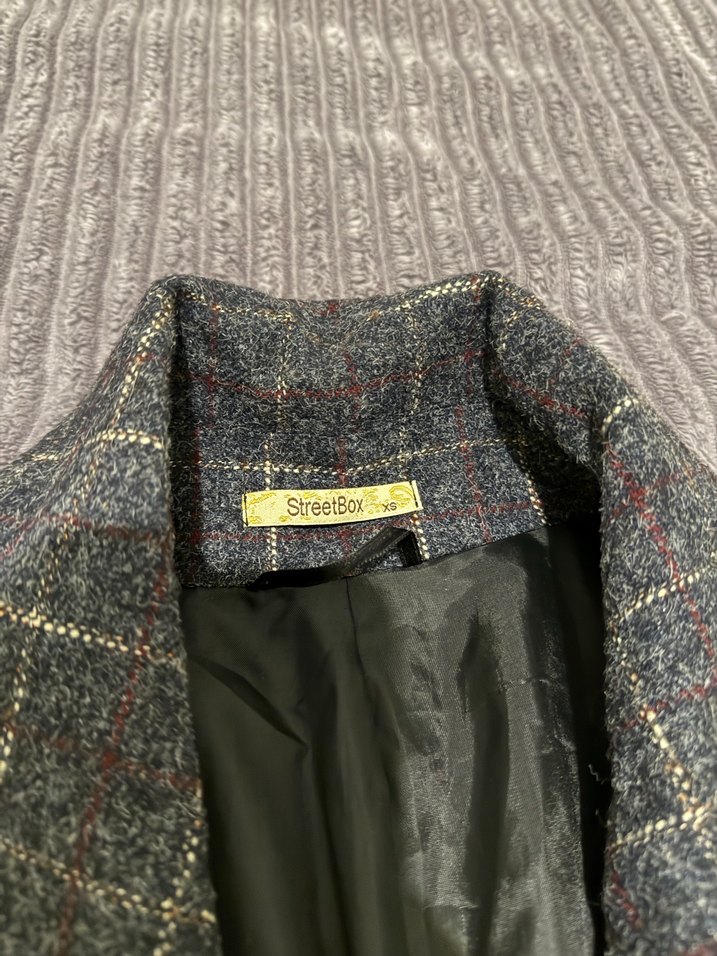 Kareli Desenli Tek Düğmeli Kaban - Görsel 2