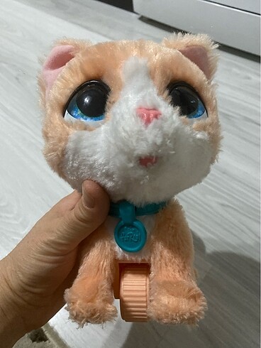 Diğer Furreal konuşan kedi