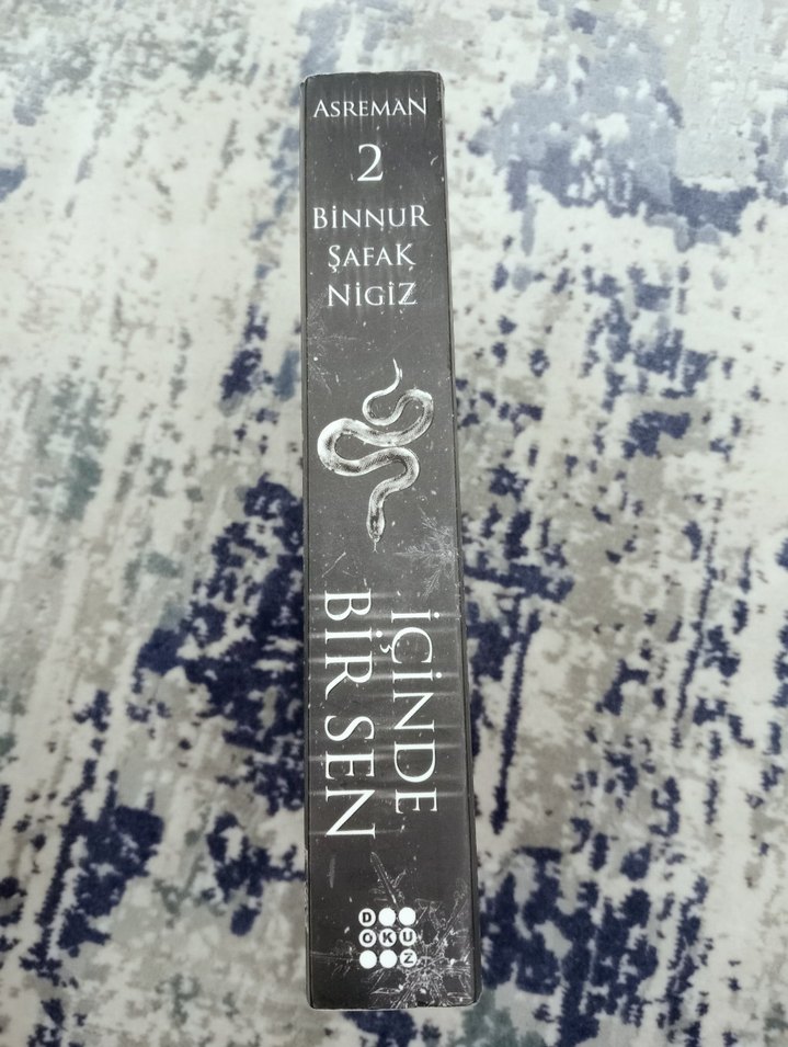 İçinde Bir Sen - Binnur Şafak Niğiz - Görsel 2