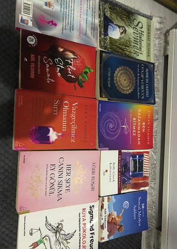 Bircan yıldırım adil yıldırım esra ezmeci kitapları
