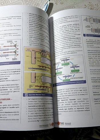 Fast Track Fizyoloji Hızlı Tekrar Notu - Görsel 3