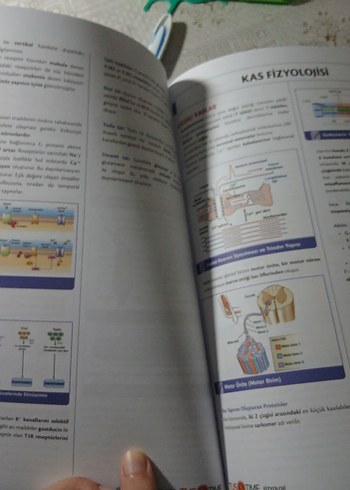 Fast Track Fizyoloji Hızlı Tekrar Notu - Görsel 2