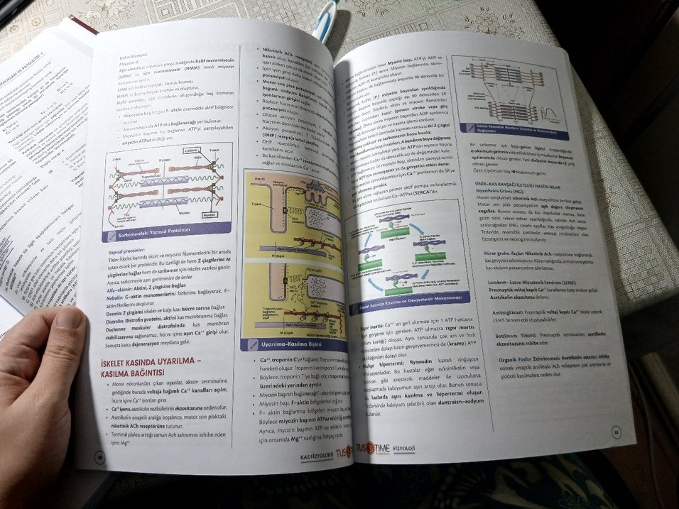 Fast Track Fizyoloji Hızlı Tekrar Notu - Görsel 3