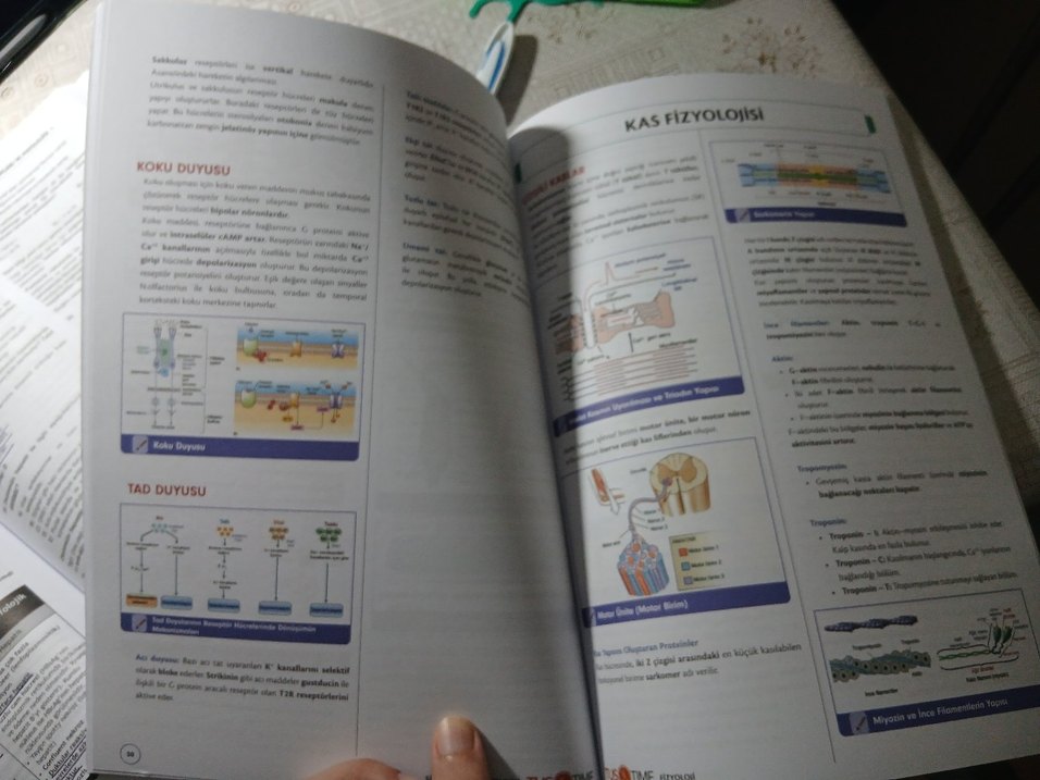 Fast Track Fizyoloji Hızlı Tekrar Notu - Görsel 2