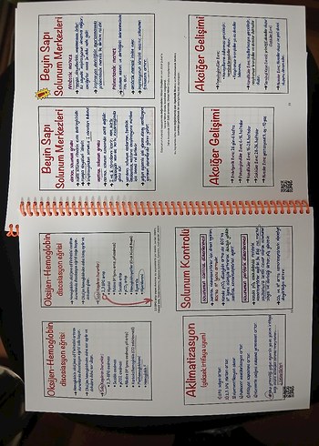 TUS Mart 2024 Dönemi Ders Notları Seti, tus analiz - Görsel 5