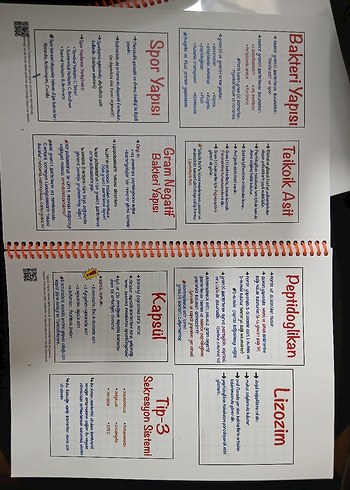 TUS Mart 2024 Dönemi Ders Notları Seti, tus analiz - Görsel 4