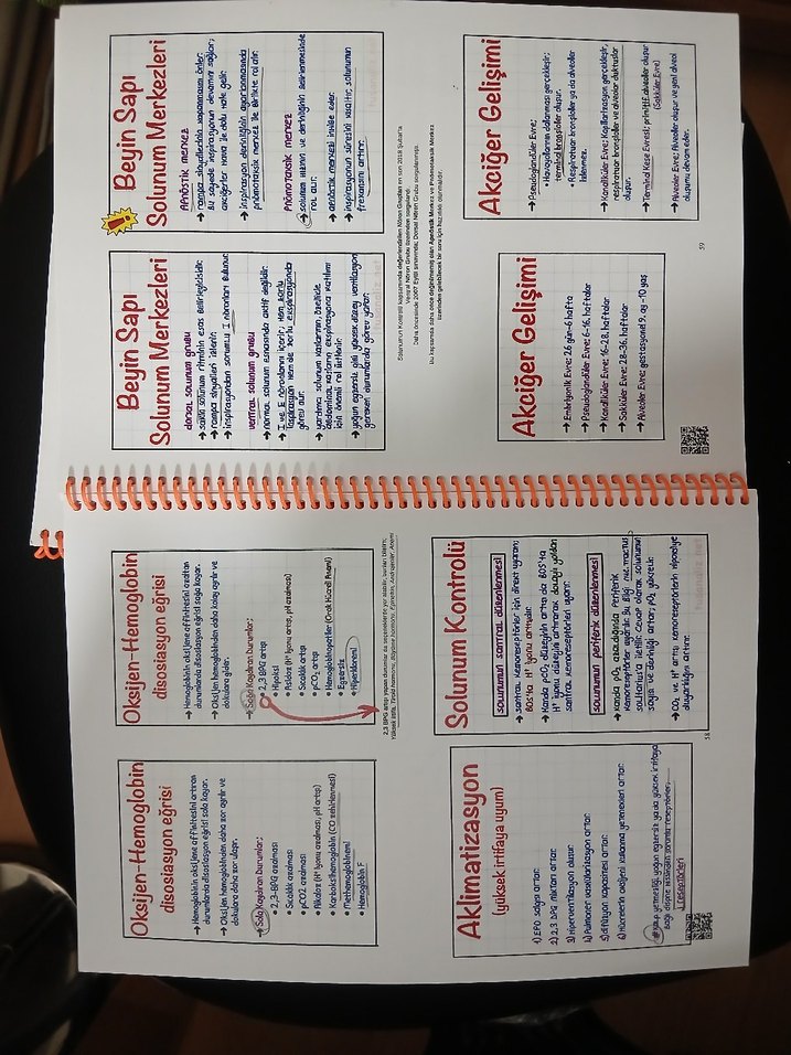 TUS Mart 2024 Dönemi Ders Notları Seti, tus analiz - Görsel 5