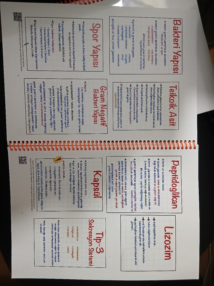 TUS Mart 2024 Dönemi Ders Notları Seti, tus analiz - Görsel 4