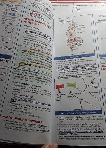 SPEETUS Biyokimya TUS Hazırlık Kitabı 3. Baskı - Görsel 2