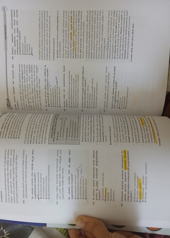 Tusdata vaka soruları mikrobiyoloji ve enfeksiyon - Görsel 4