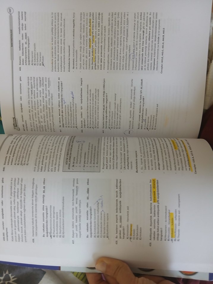 Tusdata vaka soruları mikrobiyoloji ve enfeksiyon - Görsel 4