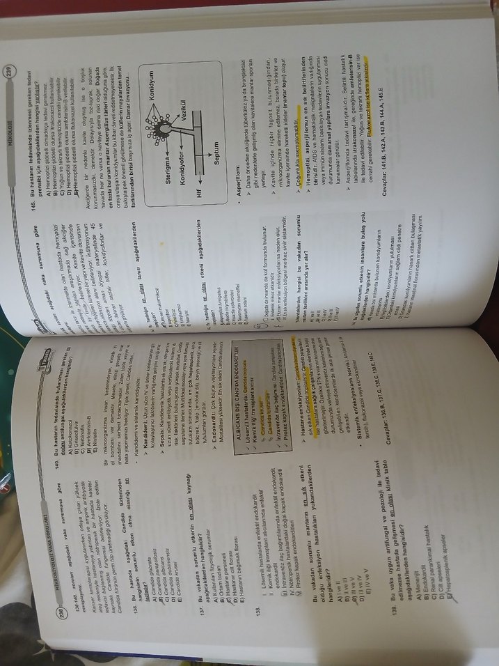 Tusdata vaka soruları mikrobiyoloji ve enfeksiyon - Görsel 2