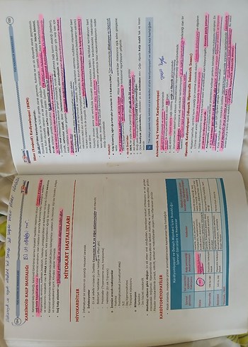 tusdata şampiyonların notu patoloji - Görsel 3