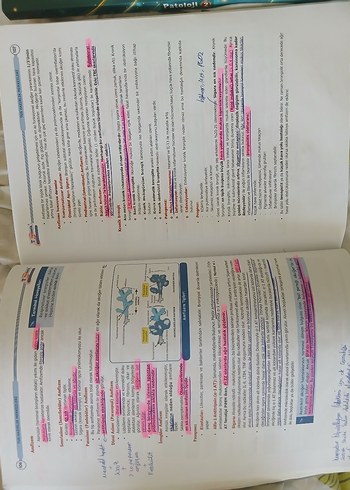 tusdata şampiyonların notu patoloji - Görsel 2