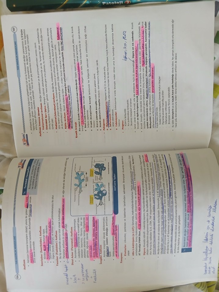 tusdata şampiyonların notu patoloji - Görsel 2