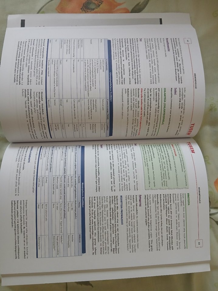 TUSEM CompacTUS Mikrobiyoloji Hızlı Tekrar Kitabı - Görsel 2