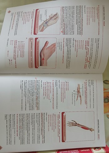 Kliniisyen Anatomi ve Fizyoloji Soru Kitapları - Görsel 2