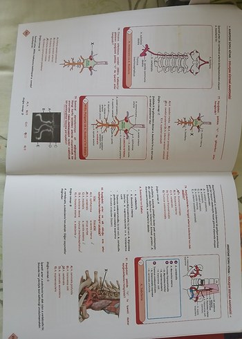 Kliniisyen Anatomi ve Fizyoloji Soru Kitapları - Görsel 3