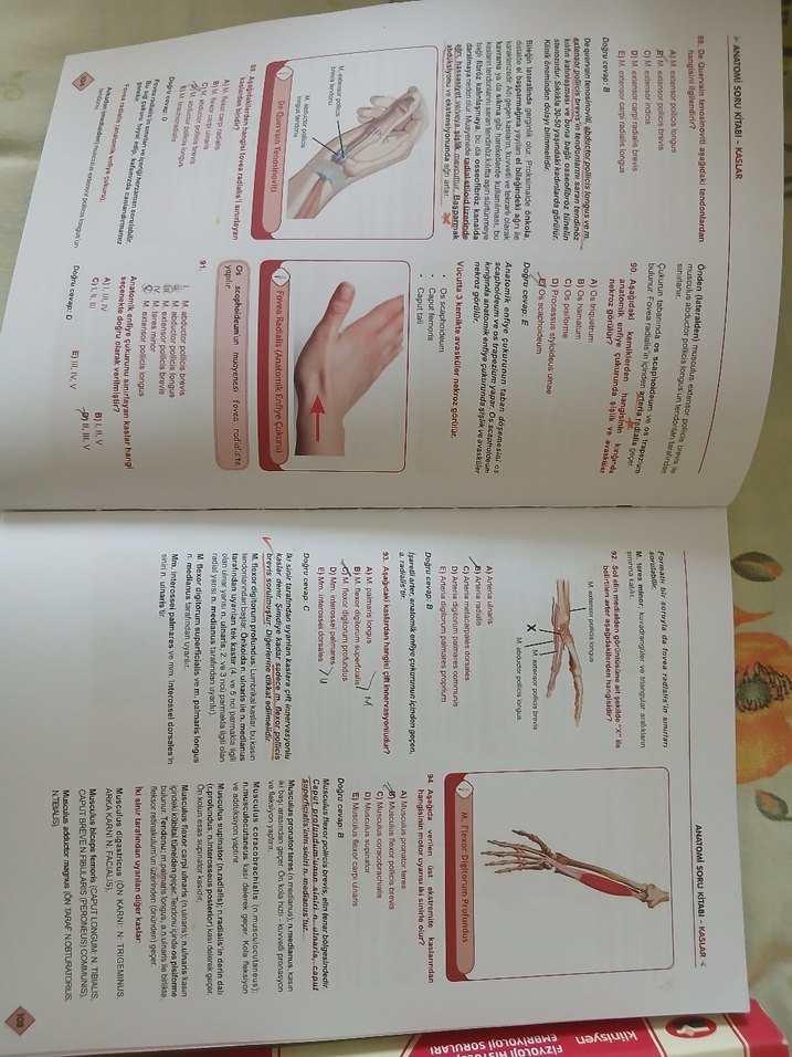 Kliniisyen Anatomi ve Fizyoloji Soru Kitapları - Görsel 2