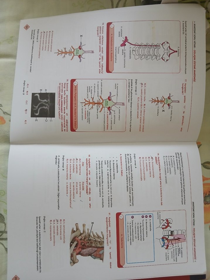 Kliniisyen Anatomi ve Fizyoloji Soru Kitapları - Görsel 3