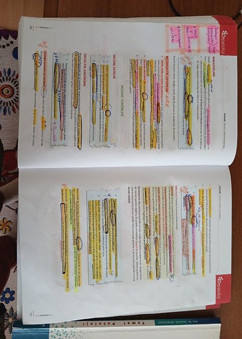 Klinik ve Temel Patoloji - Görsel 2