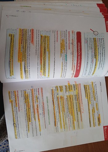 Klinik ve Temel Patoloji - Görsel 4