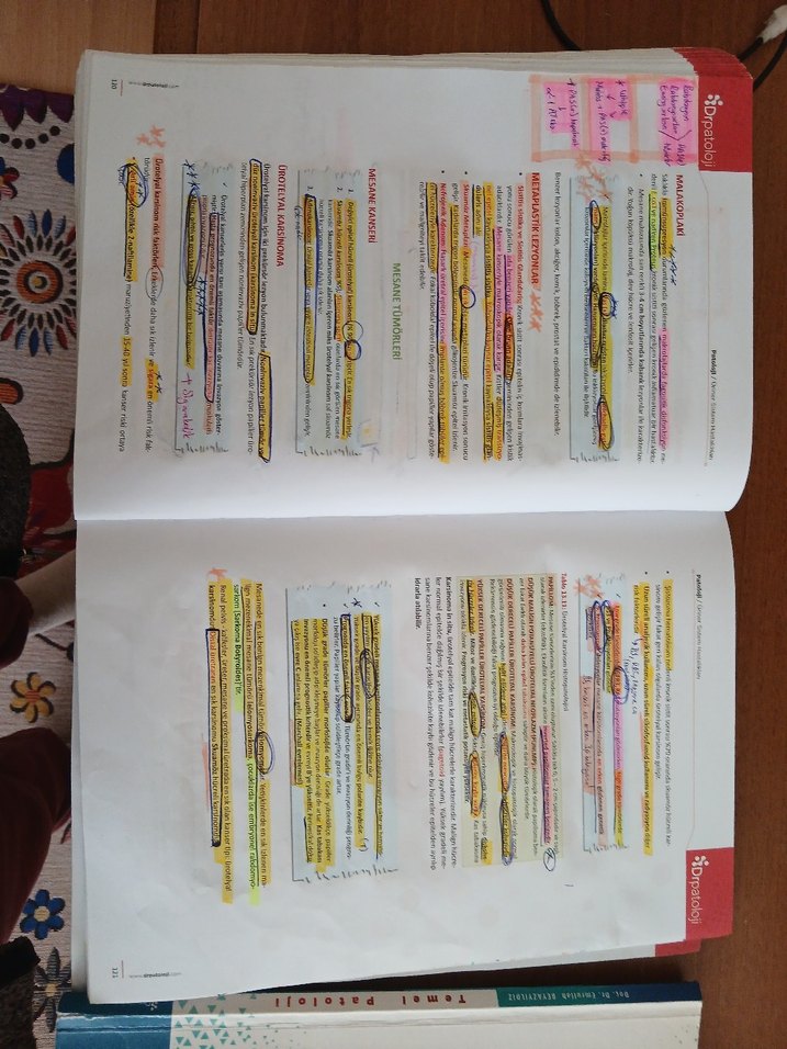 Klinik ve Temel Patoloji - Görsel 2