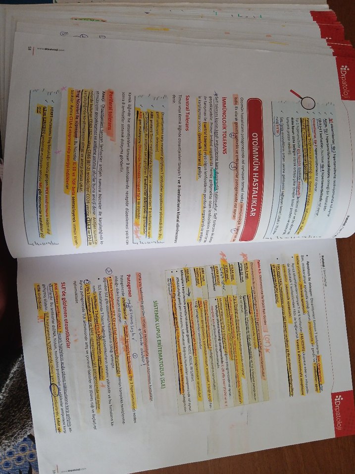 Klinik ve Temel Patoloji - Görsel 4