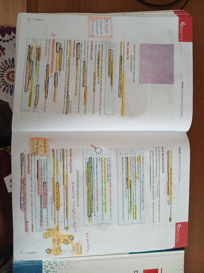 Klinik ve Temel Patoloji - Görsel 3